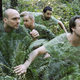 Image for article titled Sunny Day Real Estate